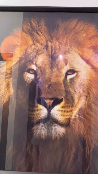 Foto 3 de MC Concept Odontologia Especializada