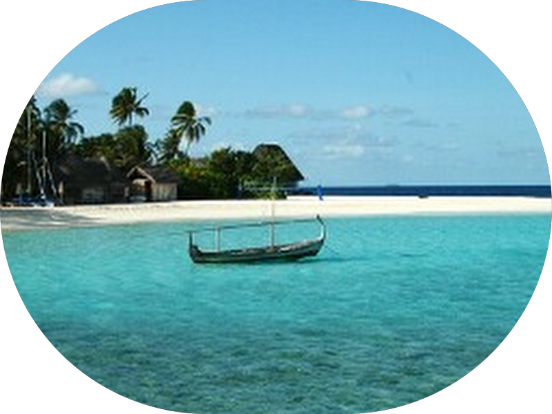 Foto 4 de MCR Odontologia - Unidade Santana