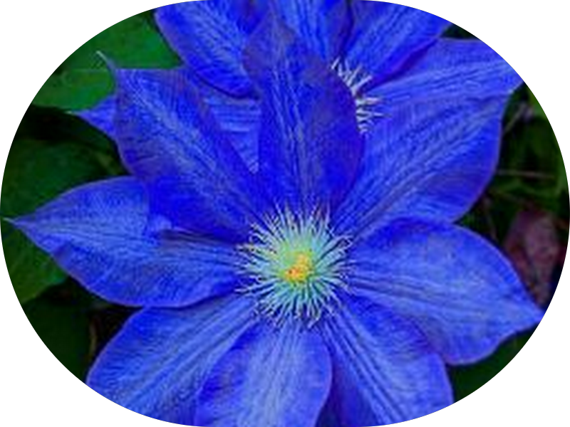 Foto 6 de Med Odonto Clínica Odontológica