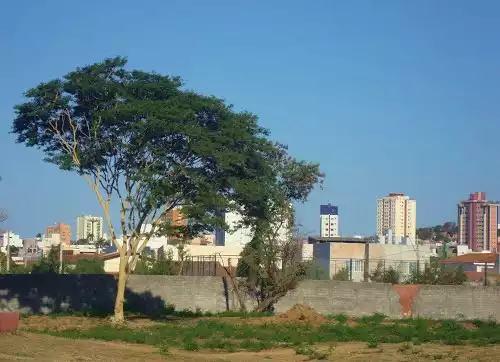 Foto 2 de Melo