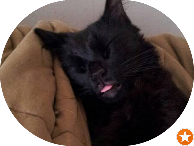 Foto 2 de MF Dentistas