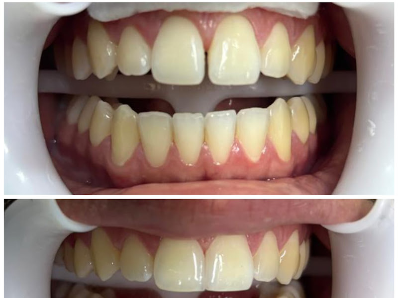 MF ODONTOLOGIA INTEGRADA