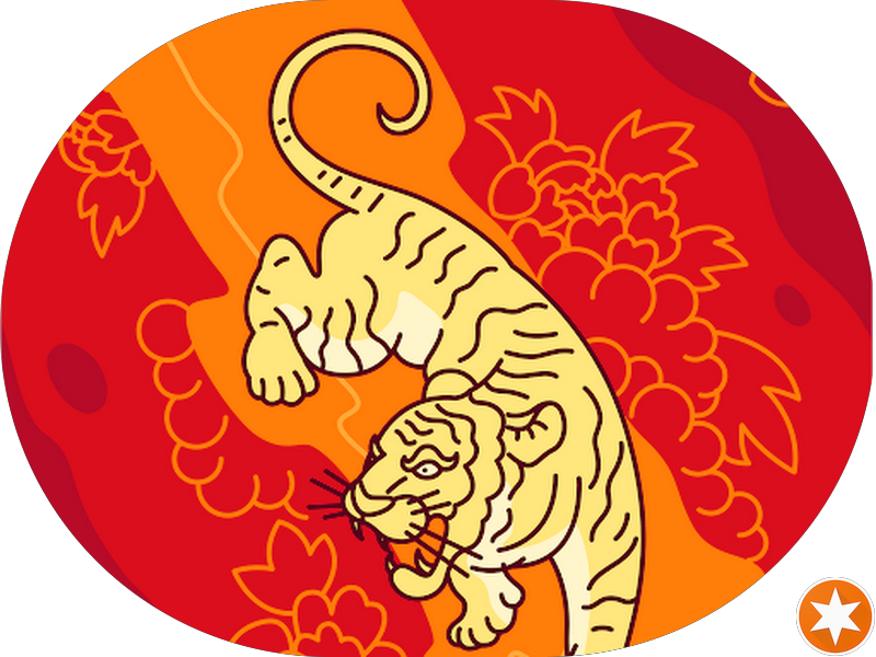 Foto 3 de Michele Mezzari Odontologia