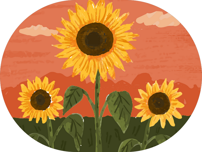 Foto 3 de Miranda Clínica de Estética e Saúde integrada