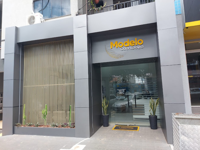 Foto 2 de Modelo Odontologia