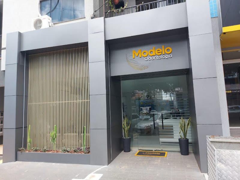 Foto 2 de Modelo Prótese Dentaria