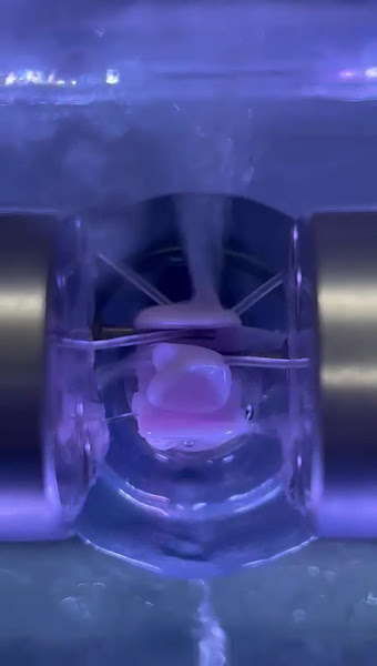 Foto 4 de Mohamad Odontologia