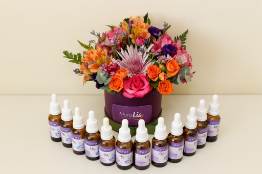 Foto 3 de MONALIS ODONTOLOGIA