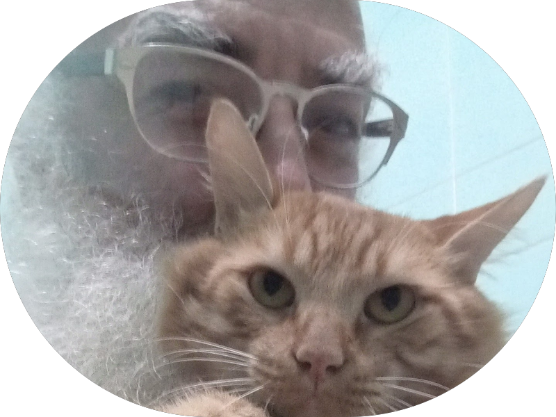 Foto 2 de Moplan Sorrisos