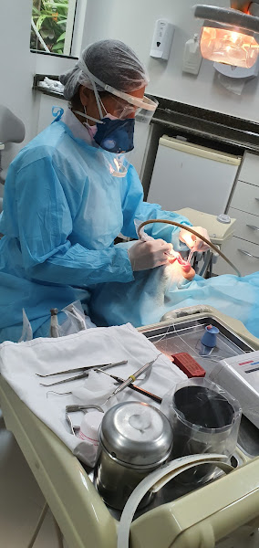 Foto 2 de Mór Spada Odontologia