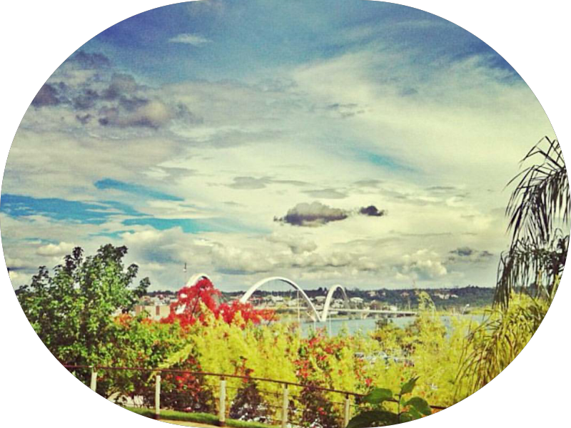 Foto 5 de MS Odontologia