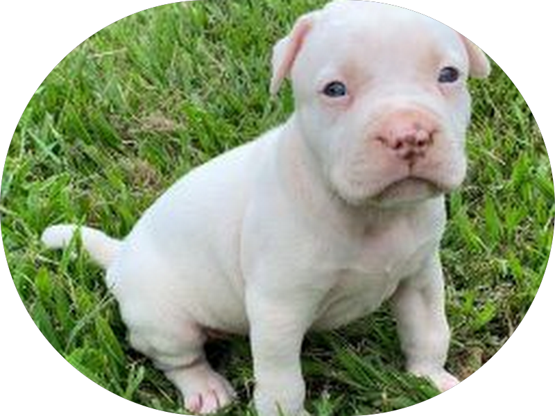 Foto 4 de MS Odontologia ltda