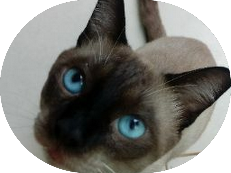 Foto 3 de Muito Mais Odontologia