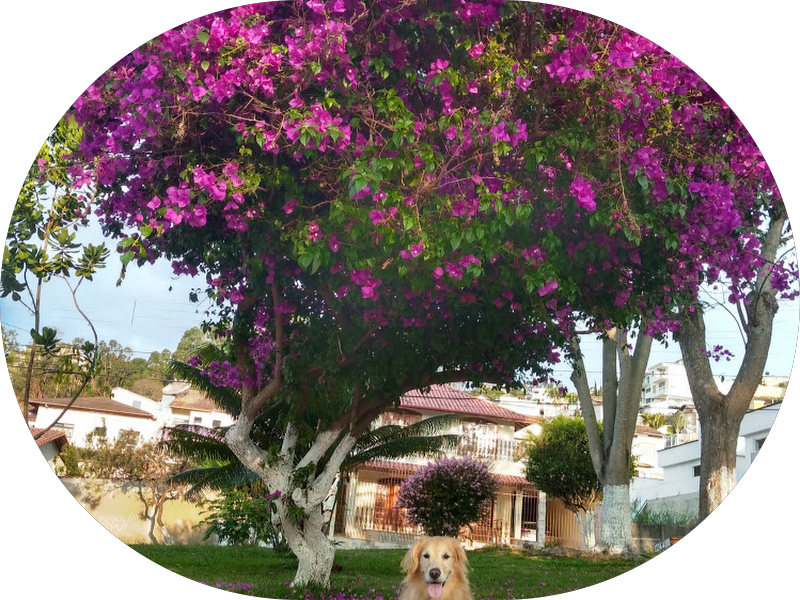 Foto 5 de Multi Saúde Clinica Odontológica