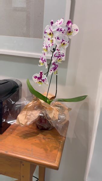 Foto 3 de Mundi Clinic Odontologia