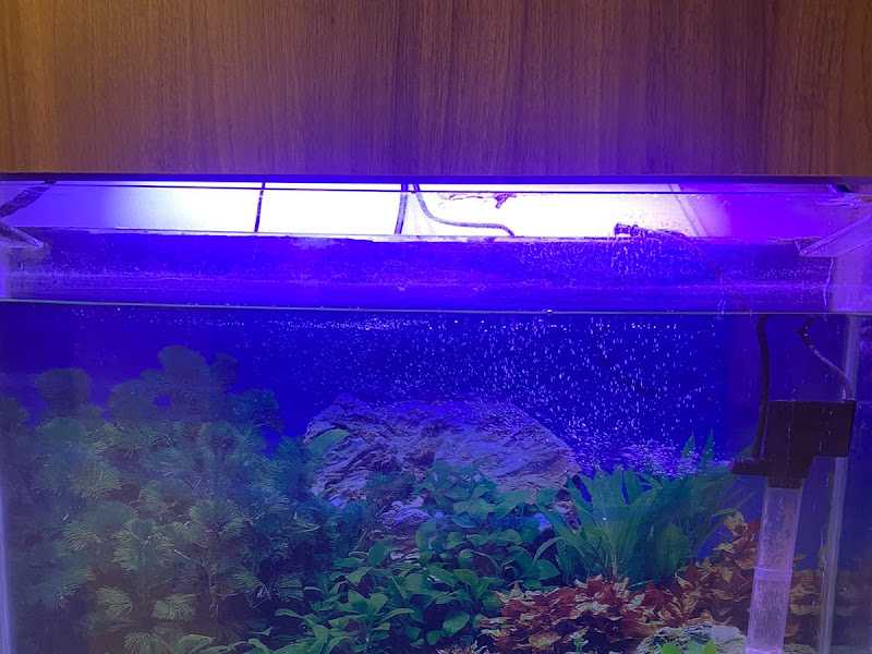 Foto 2 de Natália Ávila | Cirurgiã-dentista