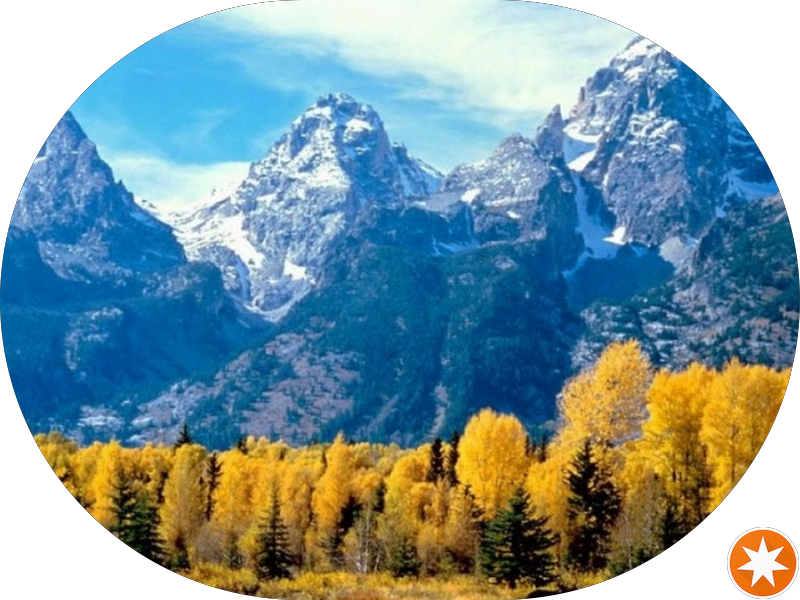 Foto 6 de Naturale Odontologia