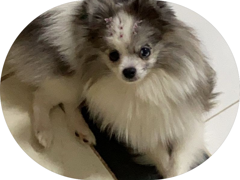 Foto 4 de NEO Odontologia