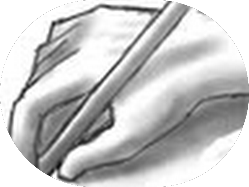 Foto 5 de Nobre Odontologia Morumbi | Dentista Morumbi | Clínica Odontológica