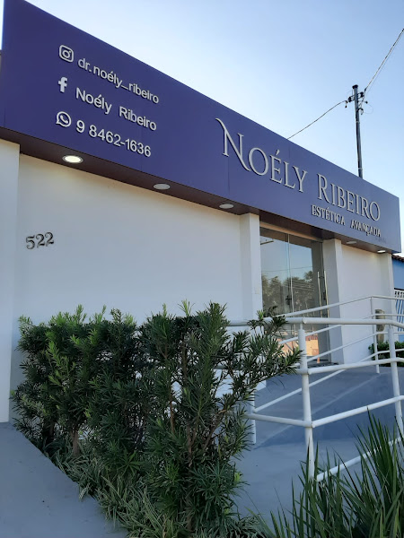 Foto 2 de Noely Ribeiro