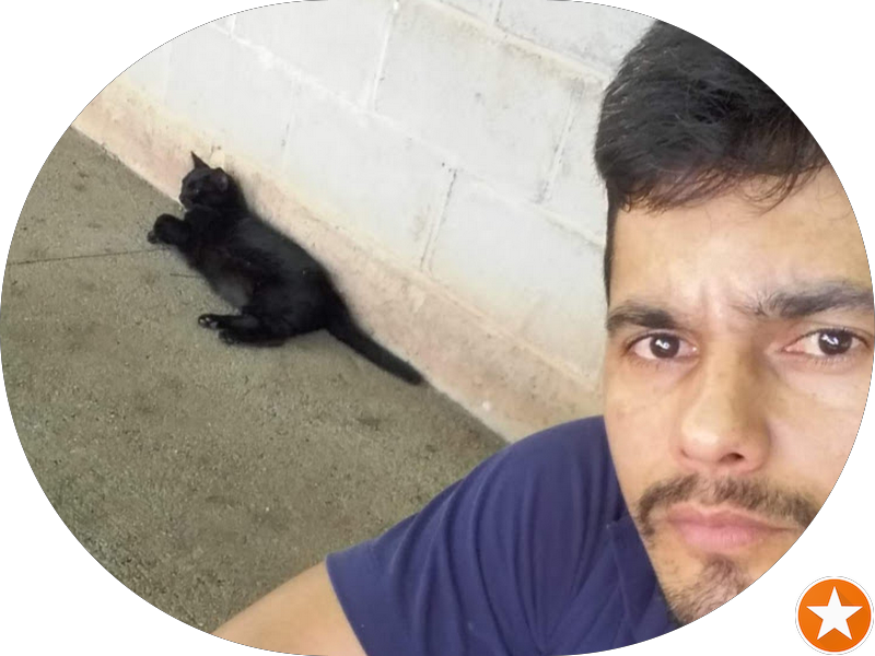 Foto de Nova Odontologia