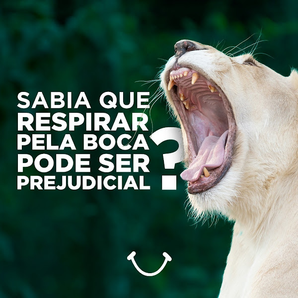 Foto 3 de Novo Dental | Clínica Odontológica | Dentista em Santo André | Implantes Dentários | Alinhadores | Clareamento