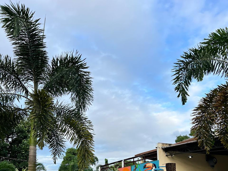 Foto 3 de Novo Dentistas