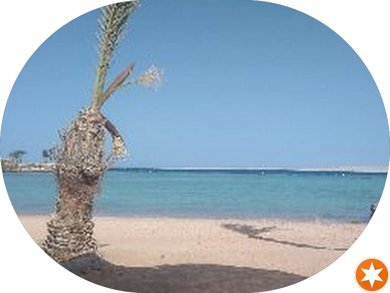 Foto 3 de Núcleo Odontológico Ouro Preto