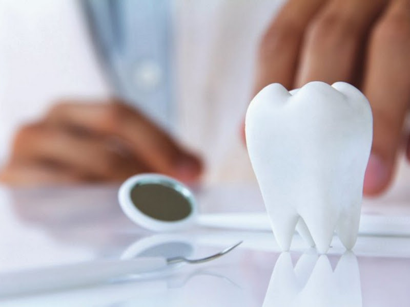 Foto 9 de Núcleo Odontológico Vila Cristina