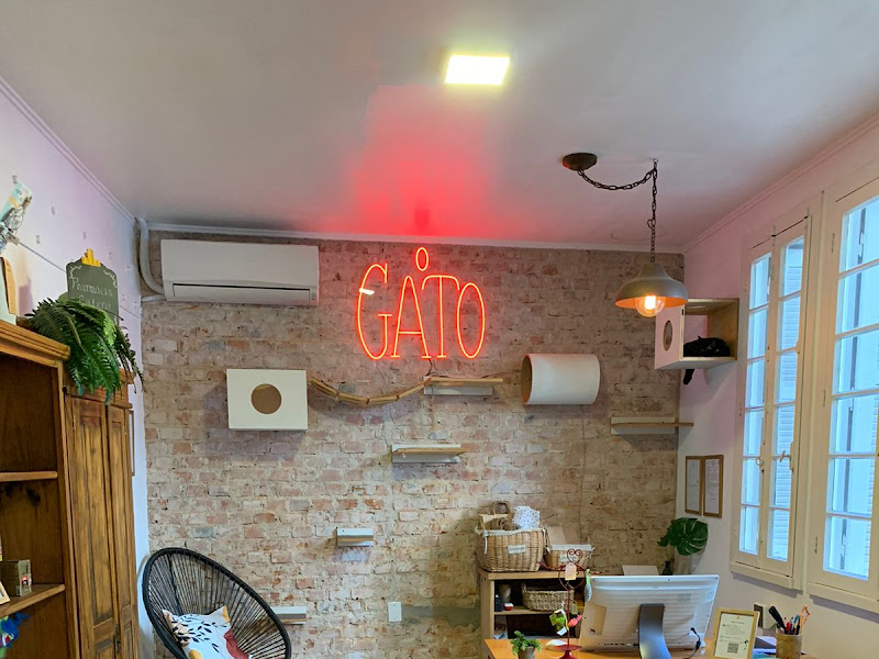 Foto de O Gato - Consultório Felino