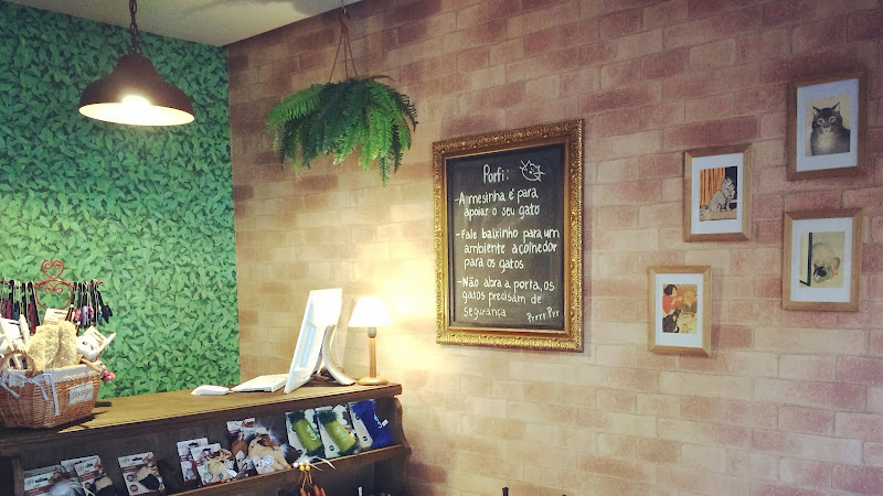Foto 3 de O Gato - Consultório Felino