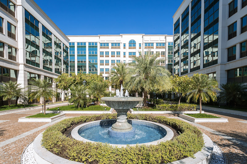 Foto 3 de Odonthotrace