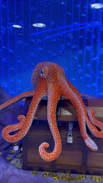 Foto 4 de Odontix Kids Madureira - Dentista Infantil (Odontopediatria)