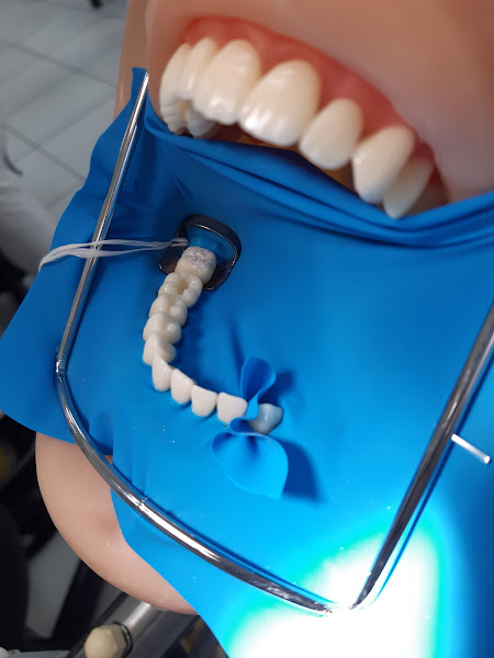 Foto 3 de Odonto Alves(somente estudante,em formação)