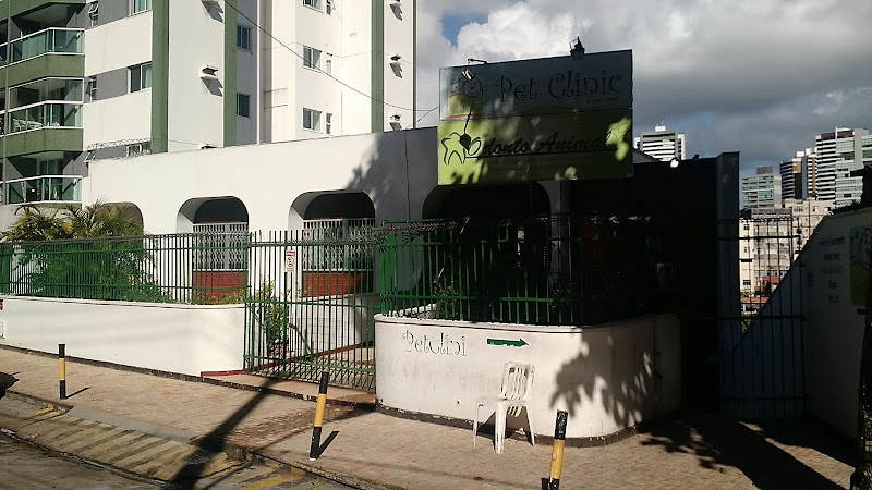 Foto 2 de Odonto Animal