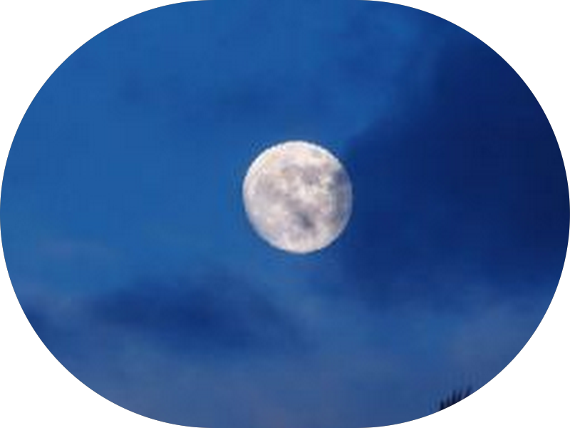 Foto 2 de Odonto Bio Imagem