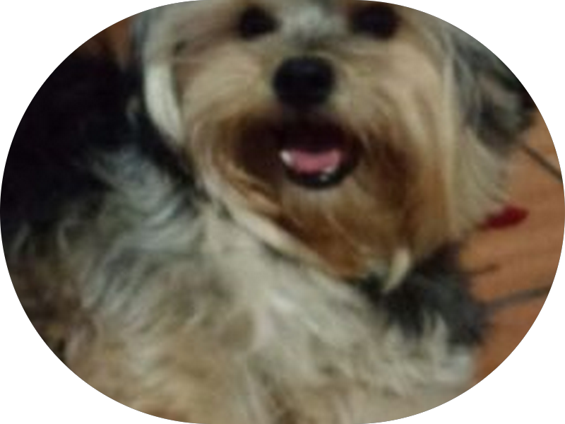 Foto 3 de Odonto Casa