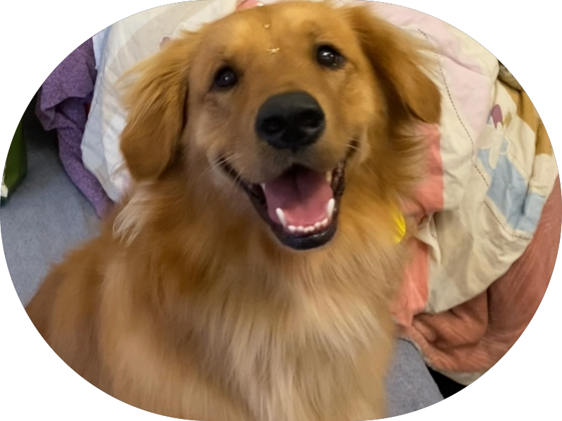 Foto 5 de Odonto Center RS