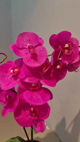 Foto 3 de Odonto Clinic Natal