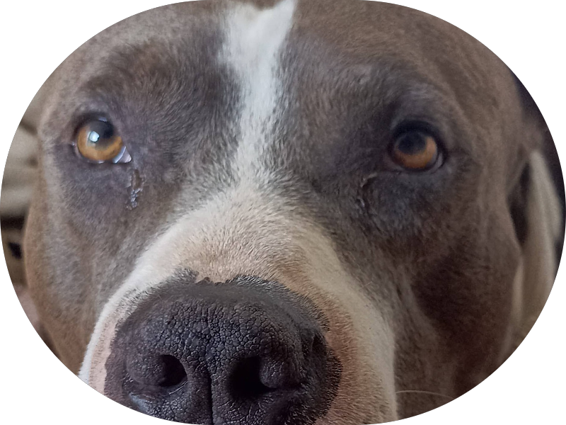 Foto 2 de Odonto Company