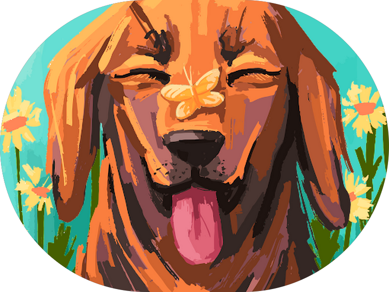 Foto 4 de Odonto Dentistas