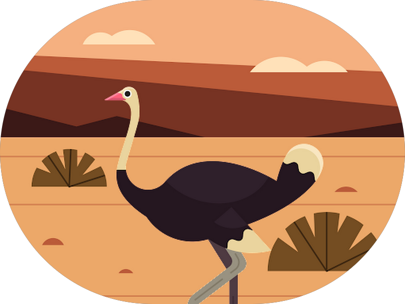 Foto 3 de ODONTO DOCTORS CLINIC & STORE