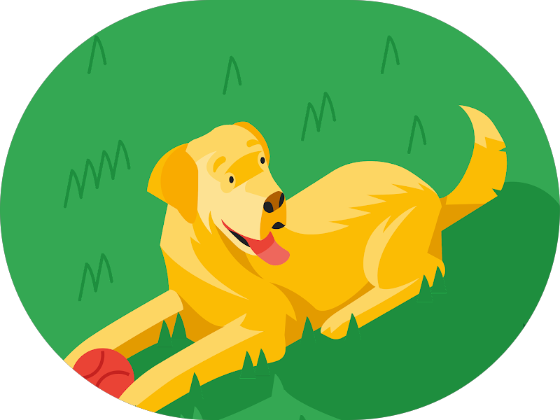 Foto 5 de Odonto Excellence Cachoeirinha | Dentista