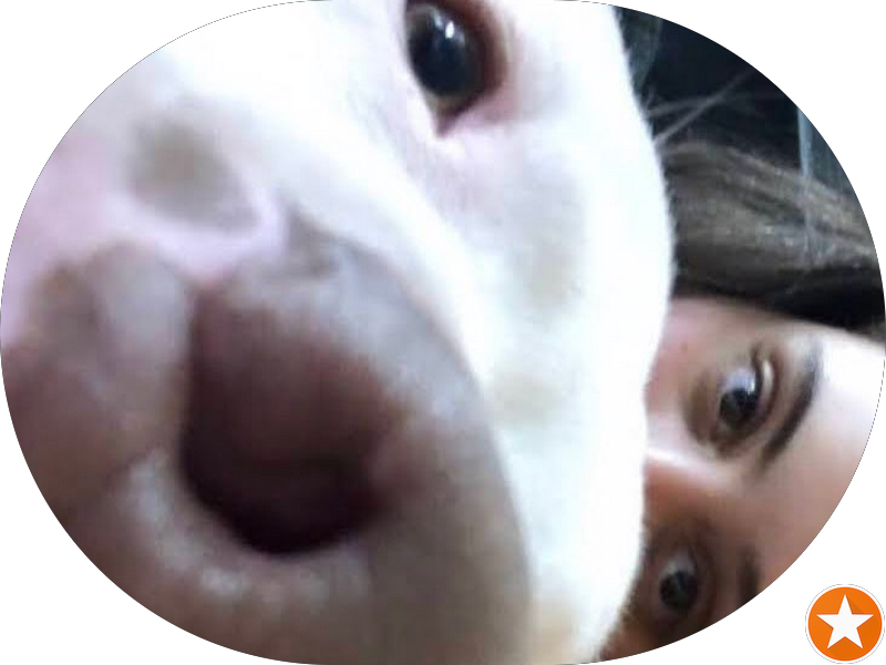 Foto 5 de Odonto Excellence Chapecó - Efapi