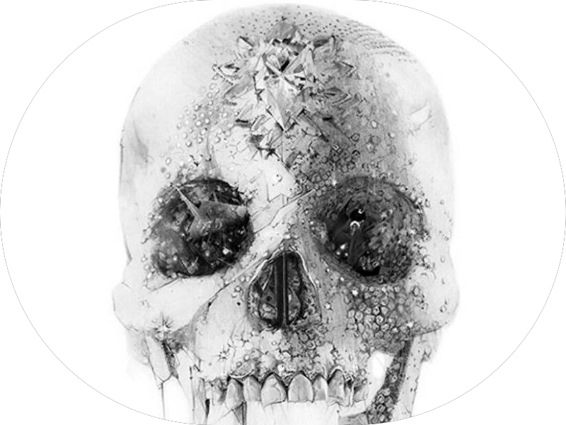 Foto 5 de Odonto Excellence Florianópolis Centro