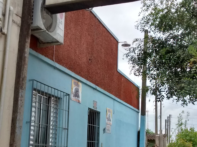 Foto 9 de Odonto Excellence Pelotas