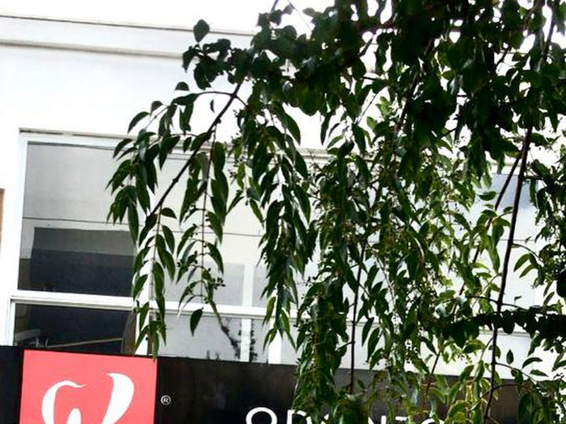 Foto 9 de Odonto Excellence Portão