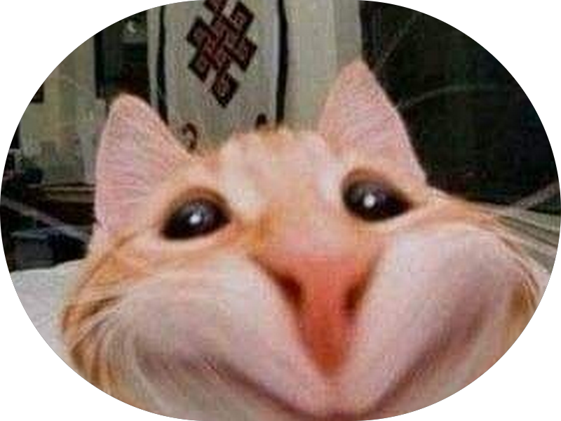 Foto 2 de Odonto Excellence São Leopoldo