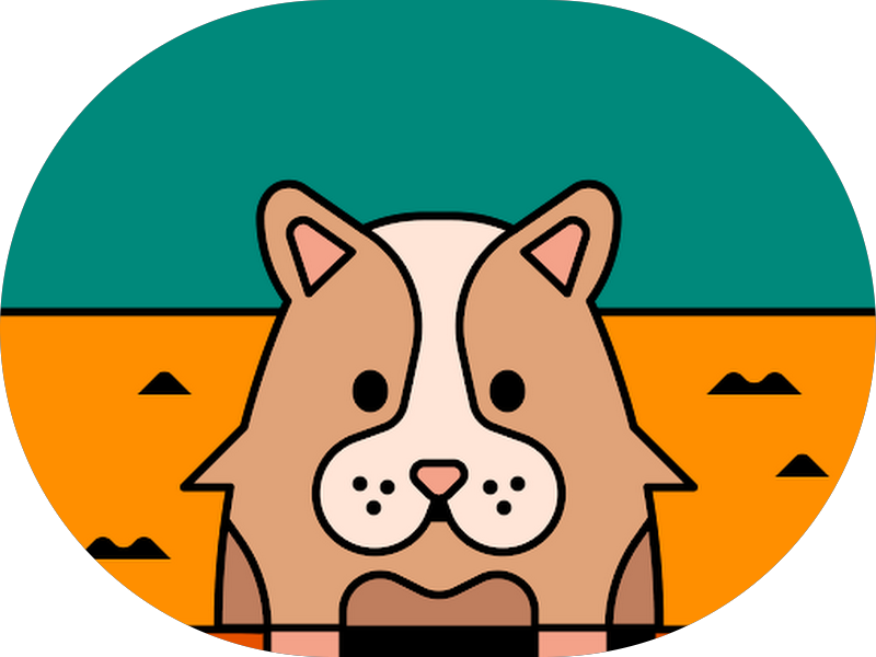 Foto 4 de Odonto Excellence Vila Nova