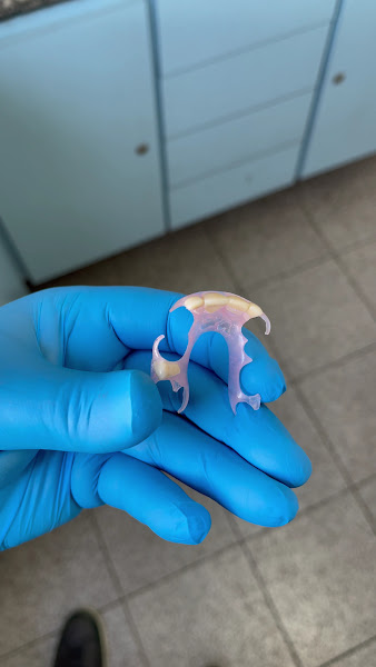 Foto 3 de Odonto Express